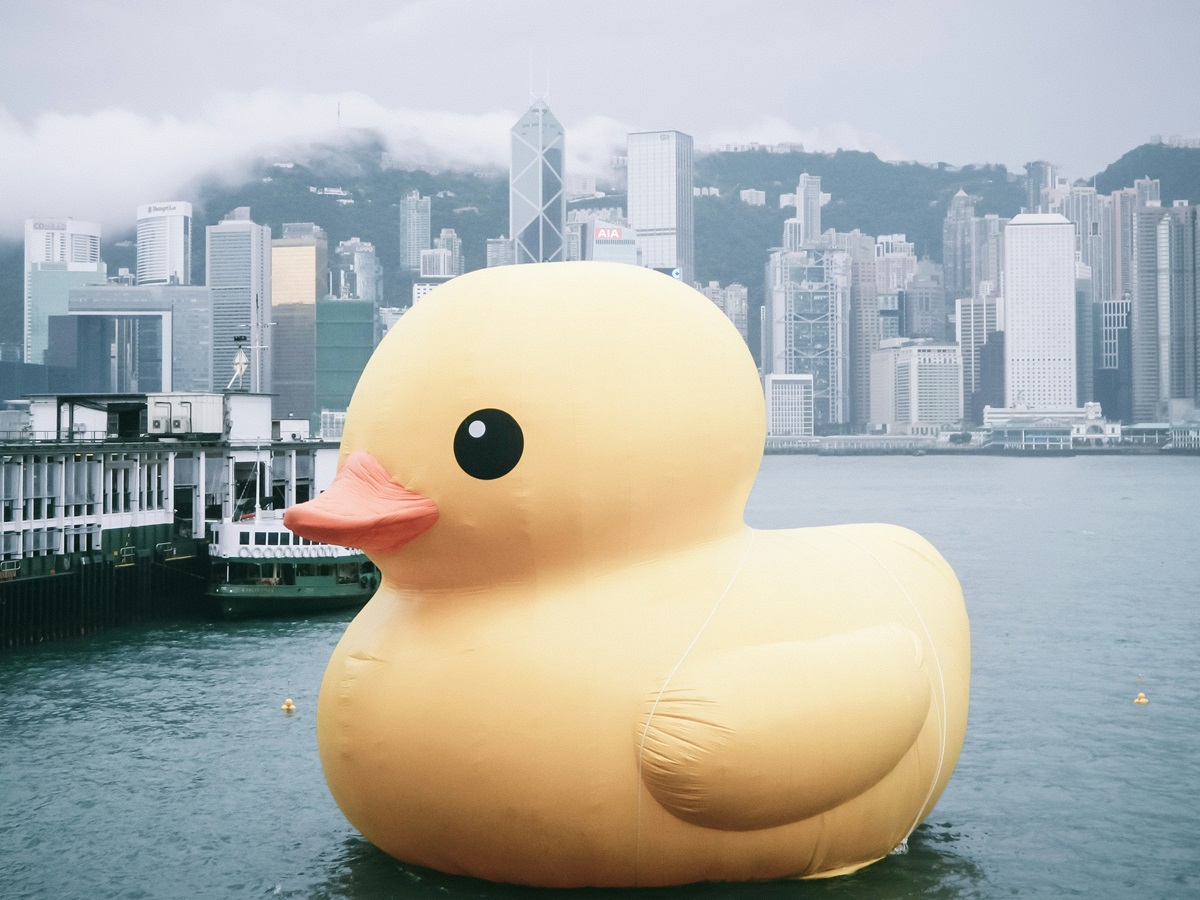 Duck-shaped object floating in the harbor