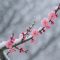 The sight of plum blossoms blooming in winter