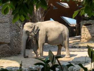 Zurich Zoo