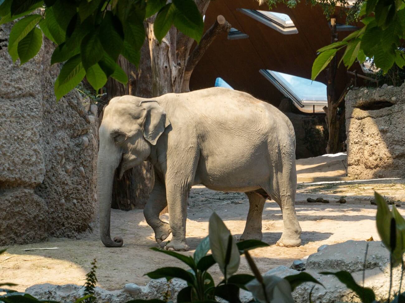 Zurich Zoo