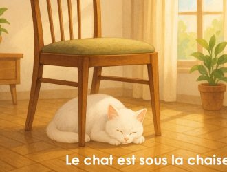 The cat is sleeping under the chair.