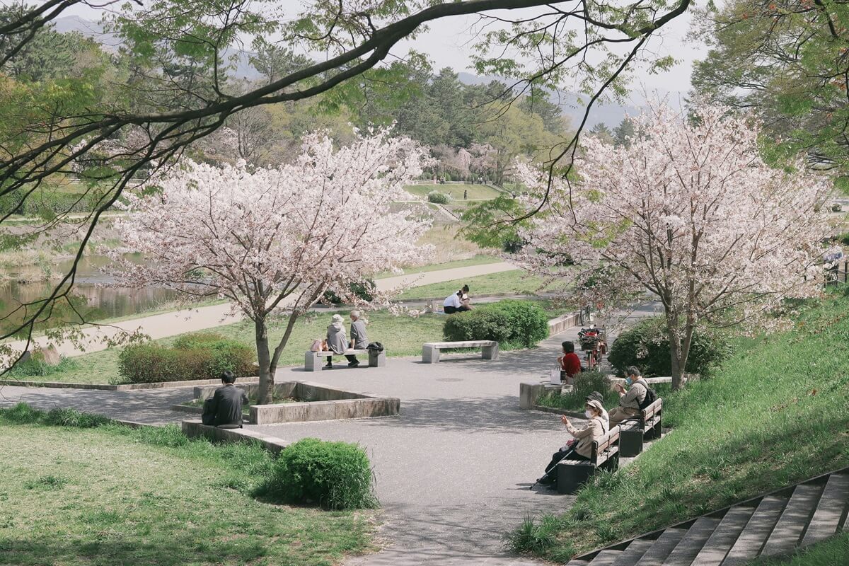 10Japanese_Spring_Holidays_You_Should_Know.