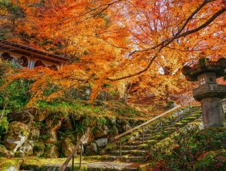 Autumn_in_Japan