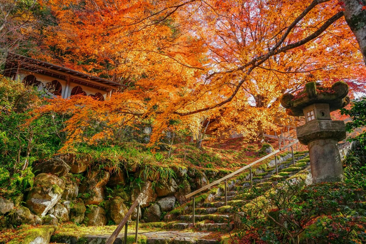 Autumn_in_Japan